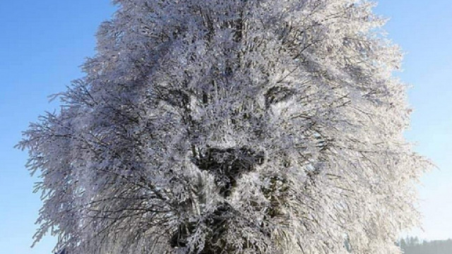 Oroscopo e classifica settimanale dal 12 al 18 aprile: Leone poliedrico, Ariete entusiasta.