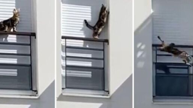 Les voisins assistent impuissants &agrave; la sc&egrave;ne et sonnent l'alerte - Source : Capture d'&eacute;cran, Le Pays Gessien