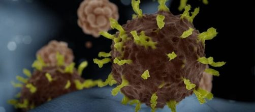 Nova cepa da Covid-19 &eacute; mais transmiss&iacute;vel e resistente &agrave;s vacinas, diz estudo (Arquivo Blasting News)