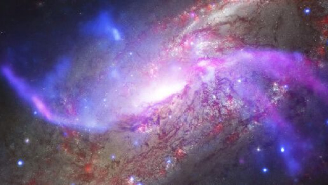 Predizioni oroscopo della giornata di luned&igrave; 17 maggio 2021