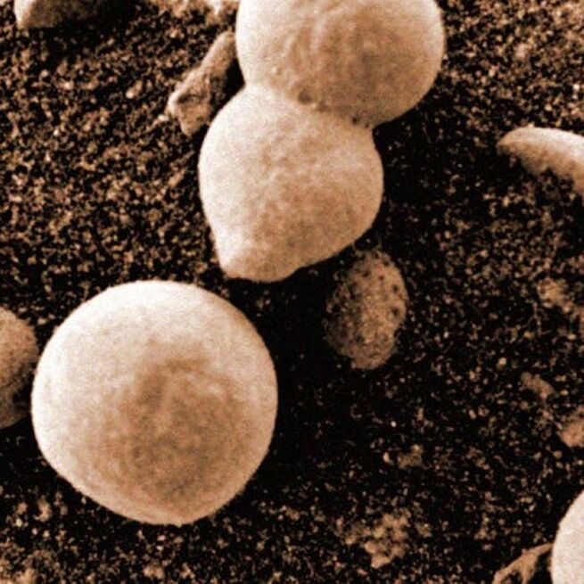 Imagem da Nasa que deu origem a boato sobre fungos crescendo em Marte (Divulga&ccedil;&atilde;o/Nasa)