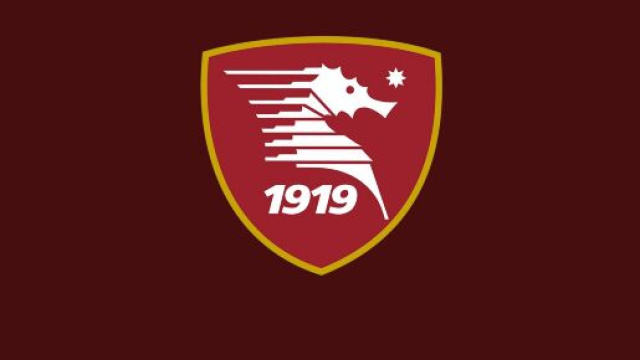 Salernitana 1919: la squadra campana si prepara alla Serie A.