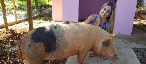 Paula tem uma porca (Reprodu&ccedil;&atilde;o/Instagram)