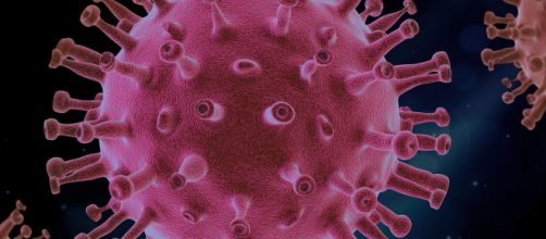 Cepa indiana exige aten&ccedil;&atilde;o especial das autoridades sanit&aacute;rias (Arquivo Blasting News)