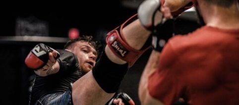 Khabib and McGregor's rivalry goes mobile: UFC war rages on