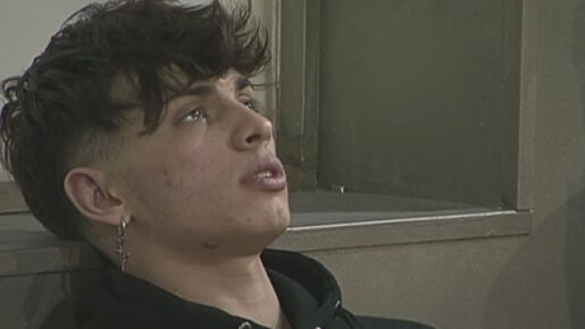 Amici, Deddy piange in casetta.