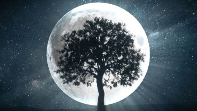 Oroscopo e classifica di domani, 6 maggio: Sagittario al 'top', Scorpione in basso