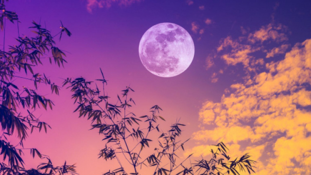 L'oroscopo di domani 12 maggio: Luna in Gemelli, gran giorno per il Toro (1^ parte).