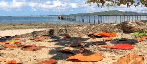 Praia de Bom Jesus dos Pobres, Saubara (BA). (Arquivo Blasting News)