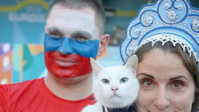 Achille est devenue le pronostiqueur pr&eacute;f&eacute;r&eacute; des internautes - Source : Capture d'&eacute;cran, Instagram @achillcat