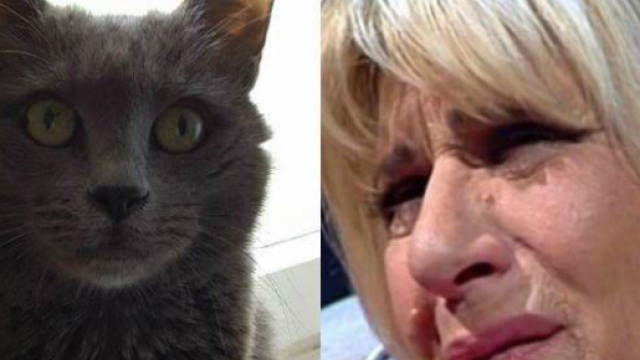 Gemma Galgani, deceduto il gatto.