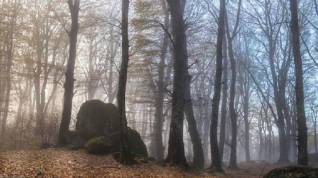 Il cupo intreccio dei Monti Cimini.