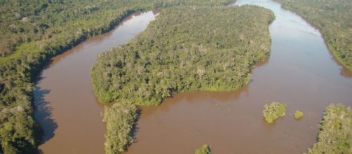 ICMbio &eacute; respons&aacute;vel por programas de pesquisa, prote&ccedil;&atilde;o, preserva&ccedil;&atilde;o da Biodiversidade (Divulga&ccedil;&atilde;o/ICMBio)