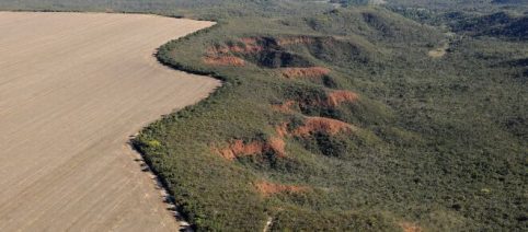 Brasil corre risco de apagão elétrico devido a avanço do desmatamento no Cerrado