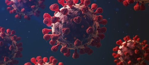 Pol&ecirc;micas em torno do surgimento da Covid-19 ganha novas discuss&otilde;es (Divulga&ccedil;&atilde;o)