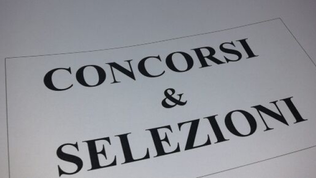 Universit&agrave; del Molise, concorso per 12 assunzioni a tempo indeterminato in categoria D.