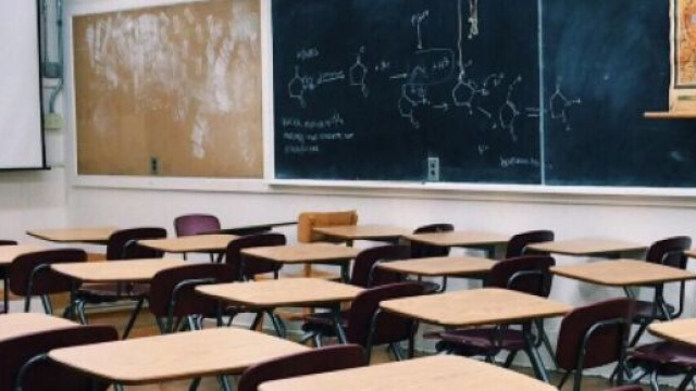 Concorso scuola 2021: risultati straordinario.