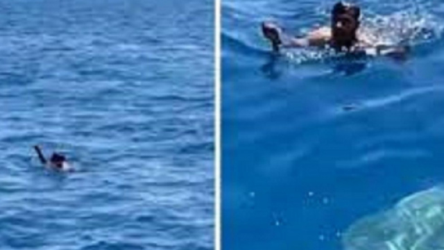 Un homme se jette &agrave; l&rsquo;eau remplie de requins pour sauver un petit oiseau (Credit : Instagram Jalil Najafov)