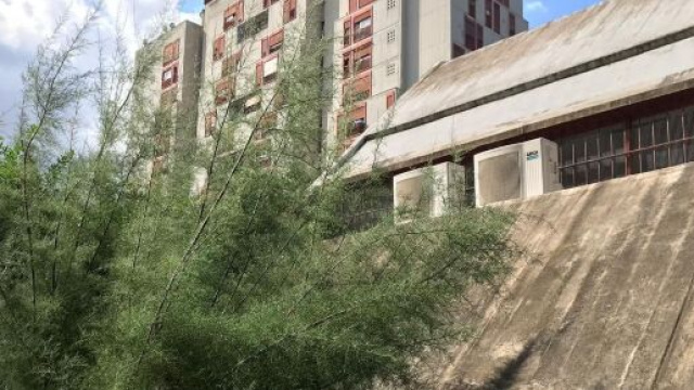 Roma, suicidio 13enne: avrebbe ricevuto offese sulla sua identit&agrave; di genere.