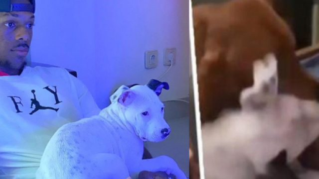 Nuno Tavares pris pour cible sur les r&eacute;seaux sociaux. (cr&eacute;dit Instagram et Twitter)