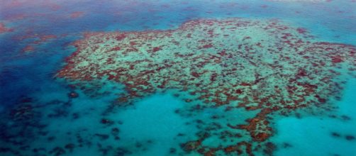 UNESCO flags risk to Australia&rsquo;s Great Barrier Reef (Image source: Flickr/steinchen)