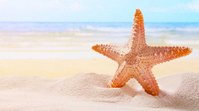 L'oroscopo settimanale sino al 1&deg; agosto 2021: Luna d'amore nel segno dei Pesci (2^ parte).