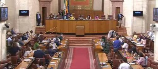 Marta Bosquet ha pedido "tranquilidad" a sus se&ntilde;or&iacute;as durante el incidente con la rata en el Parlamento (Twitter, ParlamentoAnd)