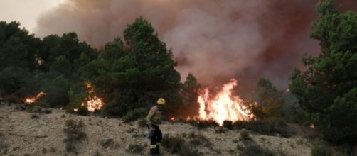 Los incendios en Catalu&ntilde;a, en imagen (@bomberscat)