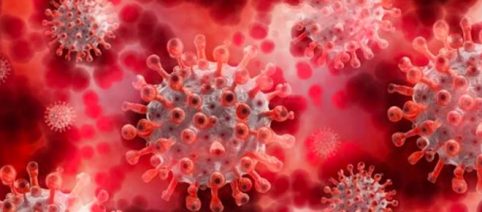 Margarita Del Val advierte de secuelas del COVID-19 en 10% de los jóvenes: pérdida de concentración