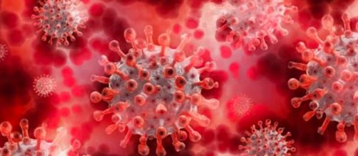 Margarita del Val ha referido que un estudio en Noruega ha arrojado la p&eacute;rdida de memoria en j&oacute;venes infectados de COVID-19 (PIXABAY)