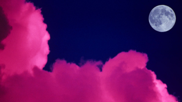 L'oroscopo di domani 2 agosto 2021: luned&igrave; a '5 stelle' per Ariete e Toro (1&ordf; tranche).