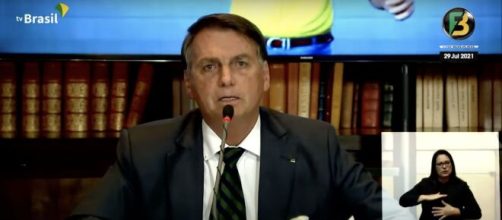 Famosos criticam live de Bolsonaro (Arquivo Blasting News)