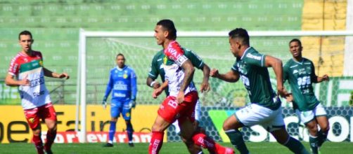 Guarani vence e convence na S&eacute;rie B (Arquivo Blasting News)