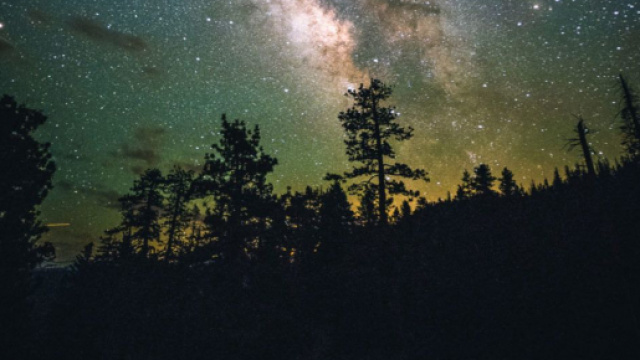 Previsioni astrali del 9 luglio: Toro stressato, Sagittario curioso.