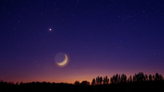 Previsioni astrologiche del 12 agosto: Toro annoiato, Bilancia sorpresa.