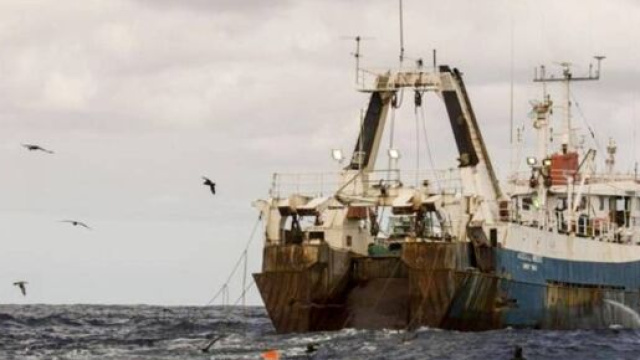 Pesca sostenibile, una scelta necessaria per il futuro del mare.
