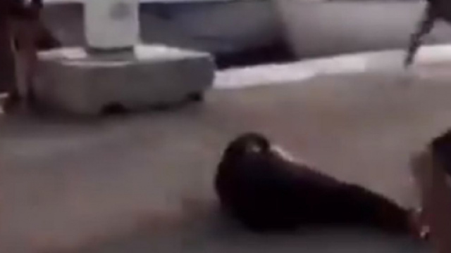 Des supporters du PSG agress&eacute;s &agrave; Marseille &agrave; cause de leurs maillots (Source : capture Youtube)