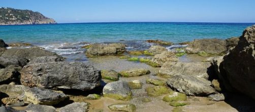 El ni&ntilde;o de 12 a&ntilde;os se encontraba con su padre pero un accidente con su plomo de buceo caus&oacute; su muerte (Creative Commons)