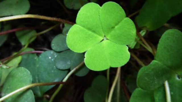 Oroscopo e classifica di settembre della fortuna: segni di aria in testa