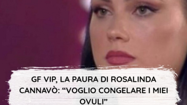 Rosalinda Cannav&ograve; interviene dopo le critiche: 'Attacchi gratuiti'.
