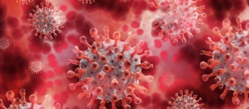 La variante Lambda del coronavirus se suma a lista (Pixabay)