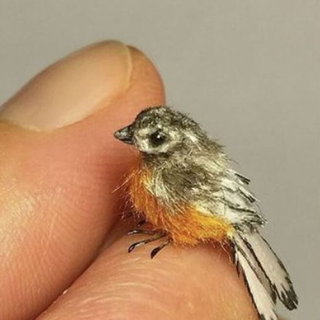 Image is not a real representation of the &ldquo;world's smallest bird&rdquo; (Image source: Instagram/@ malinik_miniatures)
