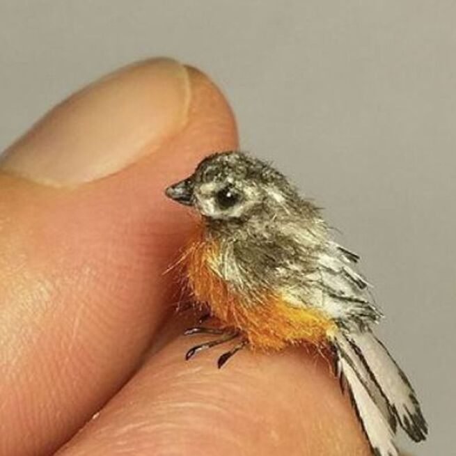 L'image n'est pas une repr&eacute;sentation r&eacute;elle du "plus petit oiseau du monde" (Instagram/@ malinik_miniatures)