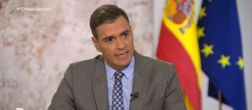 Pedro S&aacute;nchez Castej&oacute;n durante la entrevista a la Televisi&oacute;n Espa&ntilde;ola. (TVA)