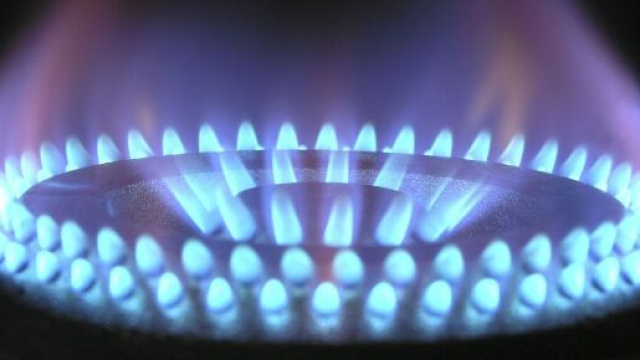 Numero Verde Edison Energia: le informazioni per contattare l'assistenza