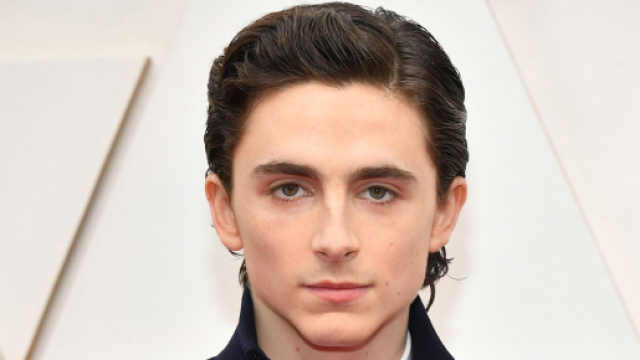 Timoth&eacute;e Chalamet, attore classe 1995.