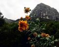 Regione Piemonte: in arrivo un contributo a fondo perduto per trasferirsi in montagna