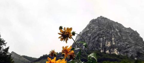 Regione Piemonte: in arrivo un contributo a fondo perduto per trasferirsi in montagna