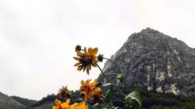 Bando Regione Piemonte trasferirsi in montagna.