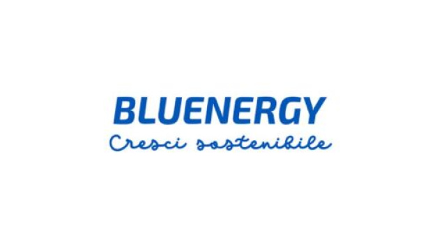 Numero verde Bluenergy: offerte luce e gas per la casa, il condominio e l'azienda.